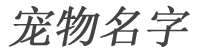 宠物名字